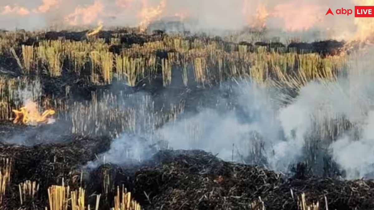 Stubble Burning: पराली जलाने पर हरियाणा सरकार सख्त, अब तक 93 FIR दर्ज, 26 अधिकारी सस्पेंड