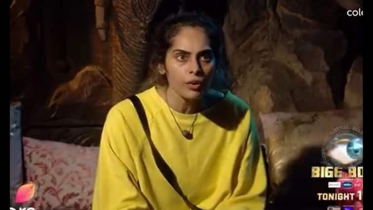 Shrutika Arjun's Hilarious Exchange with Bigg Boss: 'Are You Married?'