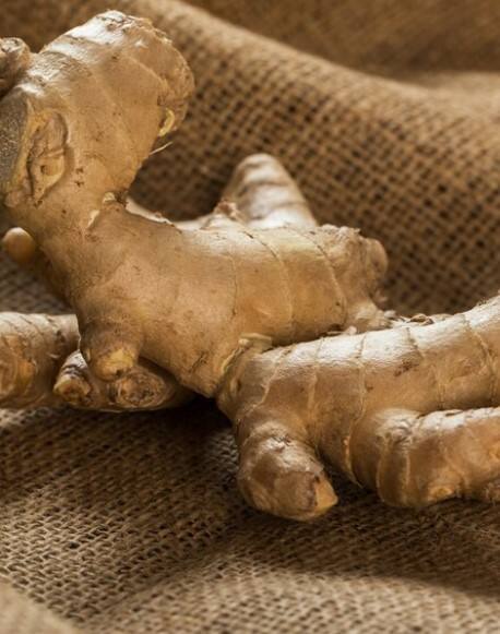 ਅਦਰਕ ਦਾ ਸੇਵਨ ਪੁਰਸ਼ਾਂ ਦੇ ਸਰੀਰ ਵਿੱਚ ਖੂਨ ਦੇ ਪ੍ਰਵਾਹ ਨੂੰ ਸਹੀ ਢੰਗ ਨਾਲ ਚਲਾਉਣ ਵਿੱਚ ਮਦਦ ਕਰਦਾ ਹੈ। ਮਰਦਾਂ 'ਚ ਸੈਕਸ ਨਾਲ ਜੁੜੀਆਂ ਸਮੱਸਿਆਵਾਂ ਘੱਟ ਹੁੰਦੀਆਂ ਹਨ ਅਤੇ ਕਈ ਬਿਮਾਰੀਆਂ ਆਸਾਨੀ ਨਾਲ ਠੀਕ ਹੋ ਜਾਂਦੀਆਂ ਹਨ