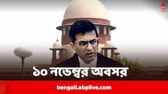 আর জি কর, সমলিঙ্গের বিয়ে, বৈবাহিক ধর্ষণ...মেয়াদ শেষ হচ্ছে প্রধান বিচারপতির, যে যে মামলার রায় বাকি