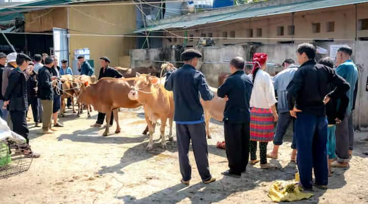 यह नियम केवल ग्रामीणों पर लागू होता है। इस नियम को लेकर बाहरी लोगों पर कोई दबाव नहीं है. हालाँकि, जब कोई बाहरी व्यक्ति गाँव में प्रवेश करता है, तो उसे स्थानीय लोगों के सम्मान में अपने जूते और चप्पल उतारने की सलाह दी जाती है।