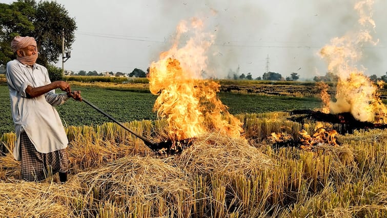 Stubble Burning Declines in Haryana and Punjab, But Delhi's Air Quality Remains Poor