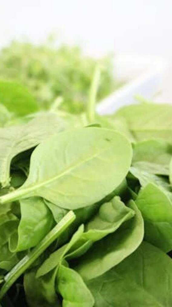 इस सब्जी के कारण तेजी से बढ़ता है यूरिक एसिड