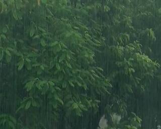Gujarat Rain Forecast:  રાજ્યના 17 જિલ્લામાં આજે  ગાજવીજ સાથે વરસશે વરસાદ, હવામાન વિભાગની આગાહી