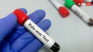 जानें काला जार की कहानी, जिसने बिहार समेत कई राज्यों में ले ली लाखों जान