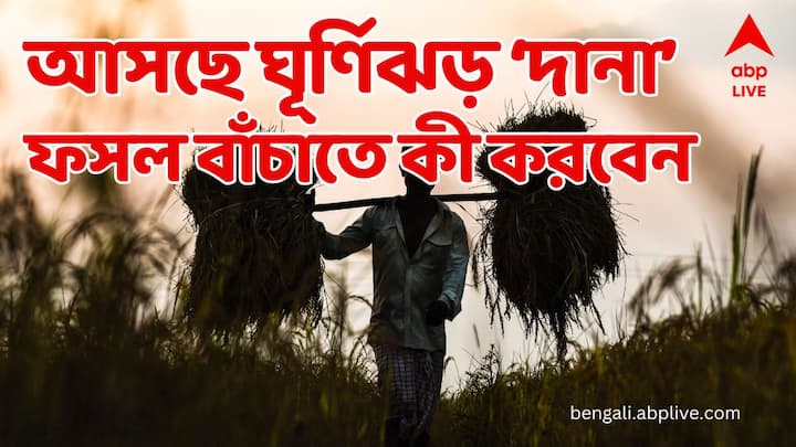 কৃষকদের প্রতি সাইক্লোন ‘দানা’ সংক্রান্ত সতর্কবার্তা , দেখে নিন বিশেষ নির্দেশিকা