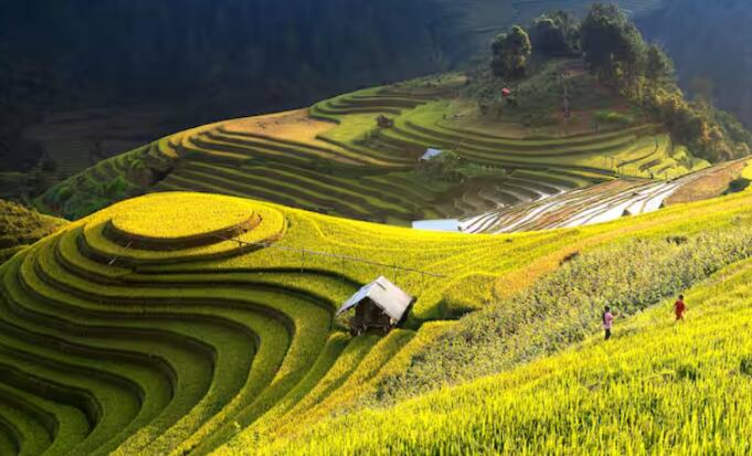 ਭਾਰਤ ਵਿੱਚ ਬਹੁਤ ਸਾਰੇ ਪਿੰਡ ਅਜਿਹੇ ਹਨ ਜਿਨ੍ਹਾਂ ਦੀਆਂ ਆਪਣੀਆਂ ਵਿਲੱਖਣ ਪਰੰਪਰਾਵਾਂ ਅਤੇ ਰੀਤੀ-ਰਿਵਾਜ ਹਨ। ਇਨ੍ਹਾਂ ਵਿੱਚੋਂ ਇੱਕ ਪਿੰਡ ਅਜਿਹਾ ਵੀ ਹੈ ਜਿੱਥੇ ਲੋਕਾਂ ਨੂੰ ਜੁੱਤੀ ਪਾਉਣ 'ਤੇ ਪਾਬੰਦੀ ਹੈ। ਤੁਸੀਂ ਸਹੀ ਸੁਣਿਆ ਹੈ, ਦੱਖਣ ਭਾਰਤ ਵਿੱਚ ਇੱਕ ਅਜਿਹਾ ਪਿੰਡ ਹੈ ਜਿੱਥੇ ਲੋਕ ਘਰ ਤੋਂ ਬਾਹਰ ਨਿਕਲਦੇ ਸਮੇਂ ਜੁੱਤੀਆਂ ਅਤੇ ਚੱਪਲਾਂ ਪਾਉਣਾ ਪਾਪ ਸਮਝਦੇ ਹਨ। ਦੱਸ ਦਈਏ ਕਿ ਇਹ ਪਿੰਡ ਤਾਮਿਲਨਾਡੂ ਦੇ ਤਿਰੂਨੇਲਵੇਲੀ ਜ਼ਿਲ੍ਹੇ ਵਿੱਚ ਸਥਿਤ ਹੈ, ਜਿਸਦਾ ਨਾਮ ਅੰਡਮਾਨ ਹੈ। ਇਸ ਪਿੰਡ ਦੇ ਲੋਕ ਮੰਨਦੇ ਹਨ ਕਿ ਉਨ੍ਹਾਂ ਦੇ ਪਿੰਡ ਦੀ ਰਾਖੀ ਮੁਥਿਆਲੰਮਾ ਨਾਂ ਦੀ ਦੇਵੀ ਕਰਦੀ ਹੈ। ਇਸ ਲਈ ਉਹ ਦੇਵੀ ਦੇ ਸਤਿਕਾਰ ਵਿੱਚ ਜੁੱਤੀਆਂ ਅਤੇ ਚੱਪਲਾਂ ਨਹੀਂ ਪਾਉਂਦੇ ਹਨ।