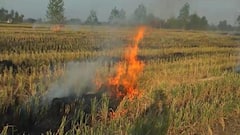 संभल: पराली जला रहे किसानों पर लगा जुर्माना, राशन कार्ड भी होंगे रद्द, ग्राम प्रधान को नोटिस जारी