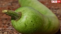 इस सब्जी में है 90 प्रतिशत पानी, कब्ज और डायबिटीज के साथ-साथ इन बीमारियों की कर देगी छुट्टी​