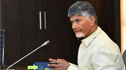 Andhra Govts Diwali Bonus For Underprivileged Women Three Free Gas Cylinders A Year Under Deepam Scheme Andhra Govts Diwali Bonus For Underprivileged Women: Three Free Gas Cylinders A Year