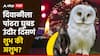 Diwali 2024 : दिवाळीला पांढरा घुबड-उंदीर दिसणं शुभ की अशुभ? जाणून घ्या ज्योतिष शास्त्रात काय म्हटलंय...