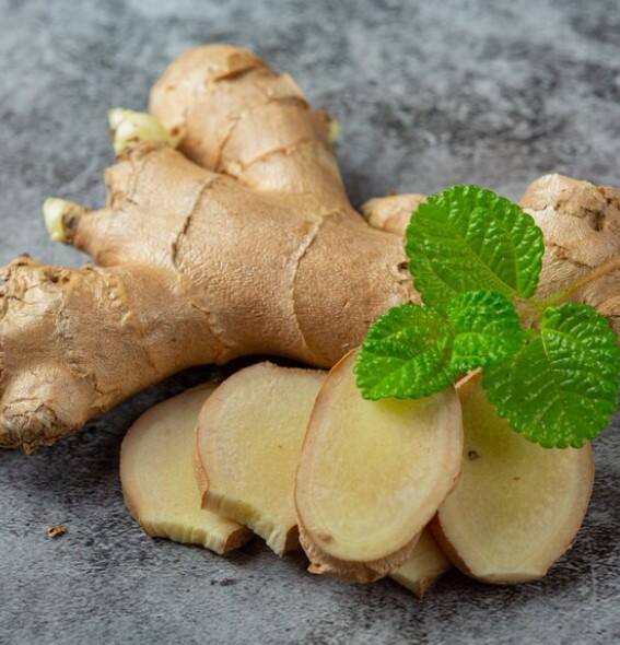 ਇਸ ਦੇ ਨਾਲ ਹੀ ਅਦਰਕ ਦਾ ਸੇਵਨ ਕਰਨ ਨਾਲ ਬਲੱਡ ਸ਼ੂਗਰ ਕੰਟਰੋਲ 'ਚ ਰਹਿੰਦੀ ਹੈ। ਇਸ ਦਾ ਮਤਲਬ ਹੈ ਕਿ ਜਿਨ੍ਹਾਂ ਲੋਕਾਂ ਦਾ ਬਲੱਡ ਸ਼ੂਗਰ ਲੈਵਲ ਕੰਟਰੋਲ ਤੋਂ ਬਾਹਰ ਰਹਿੰਦਾ ਹੈ, ਉਹ ਆਪਣੇ ਖਾਣ-ਪੀਣ 'ਚ ਅਦਰਕ ਨੂੰ ਸ਼ਾਮਲ ਕਰ ਸਕਦੇ ਹਨ।