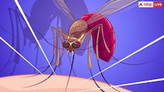 दुनिया के इस देश को मिली मलेरिया से मुक्ति, जानें इससे पहले किन देशों ने जीती इस बीमारी से जंग