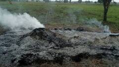 'जो आग बुझाने आएगा, उसे भी...', धमकी के साथ इंदौर में बदमाशों ने राख कर दिया 15 लाख का सोयाबीन