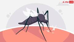 दुनिया के इस देश को मिली मलेरिया से मुक्ति, जानें इससे पहले किन देशों ने जीती इस बीमारी से जंग