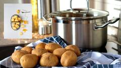 Kitchen Tips:கீரையை எப்படி சமைக்க வேண்டும்? பயனுள்ள சில சமையல் குறிப்புகள் இதோ!