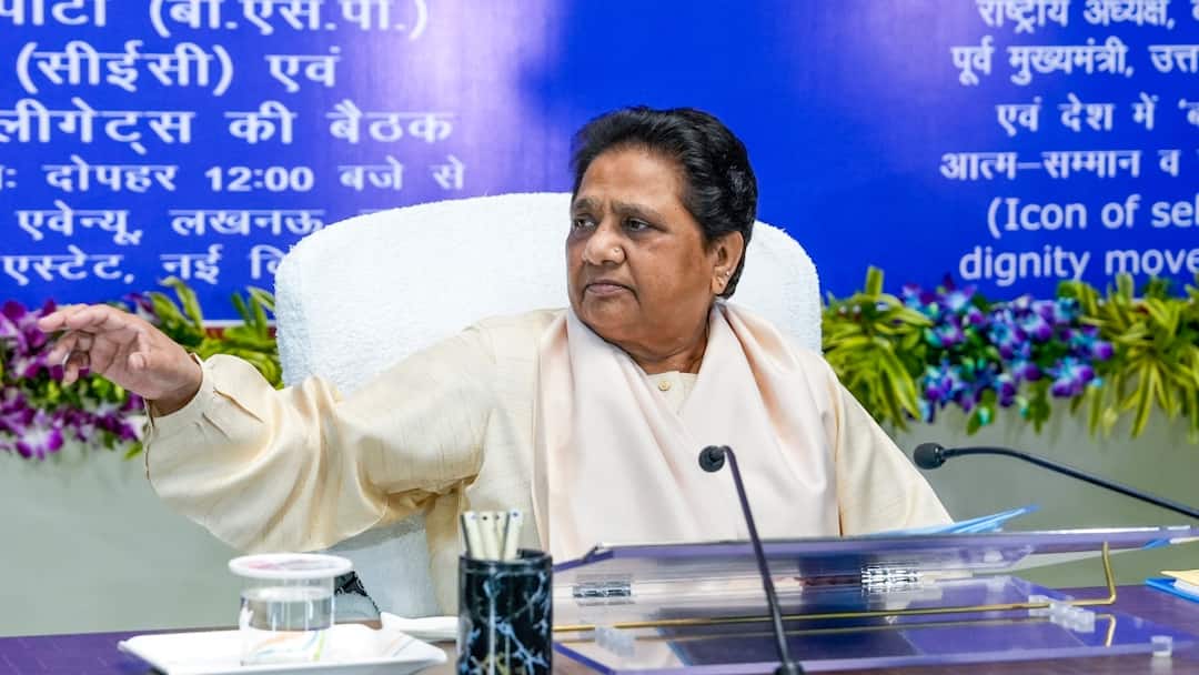 Mayawati Says BJP-SP 'Alliance' Fighting UP Bypolls, Slams 'Misleading' Slogans Mayawati Says BJP-SP 'Alliance' Fighting UP Bypolls, Slams 'Misleading' Slogans