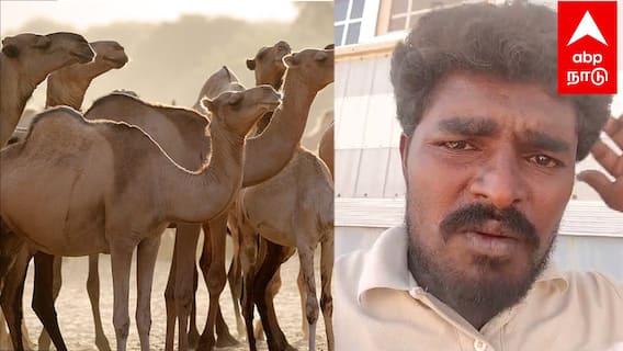 TN Youngster Viral video | ”ஒட்டகம் மேய்க்க விட்டுட்டாங்க.. PLZ காப்பாத்துங்க..செத்துருவேன்”