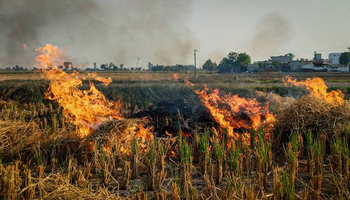 पराली जलने से प्रदूषण बढ़ता है, लेकिन अब इस समस्या से निपटने के लिए हरियाणा सरकार का कृषि विभाग युद्ध स्तर पर पराली प्रबंधन पर काम करने में जुटा है. कृषि उप निदेशक वजीर सिंह ने इस बारे में विस्तार से जानकारी दी है.