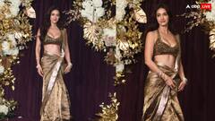 Diwali 2024: गोल्डन साड़ी, डीप नेक ब्लाउज और खुली जुल्फें, दिवाली पार्टी में पटाखा बन पहुंचीं दिशा पटानी, लगीं हुस्न की मल्लिका