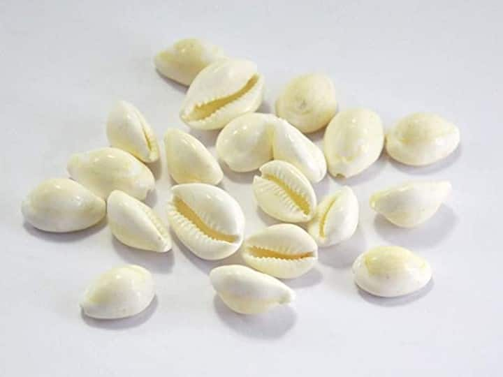 Cowries are very dear to Mother Lakshmi, because like Mother Lakshmi, it also originated from the sea. On Diwali, buy 7 cowries and then color them in turmeric and offer them to Goddess Lakshmi and then keep them in the safe. Cowri has the power to attract money.