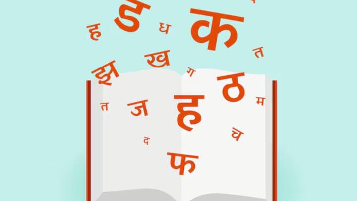 ভারতের সবচেয়ে বেশি সংখ্যক মানুষ হিন্দি ভাষায় কথা বলেন। ভারতে হিন্দিভাষীর সংখ্যা প্রায় ৫২ কোটি ৮০ লক্ষ। মূলত উতত্র এবং মধ্য ভারতে হিন্দিভাষীর সংখ্যা বেশি। ইংরেজির মতো হিন্দিও ভারতের অফিসিয়াল ভাষা।
