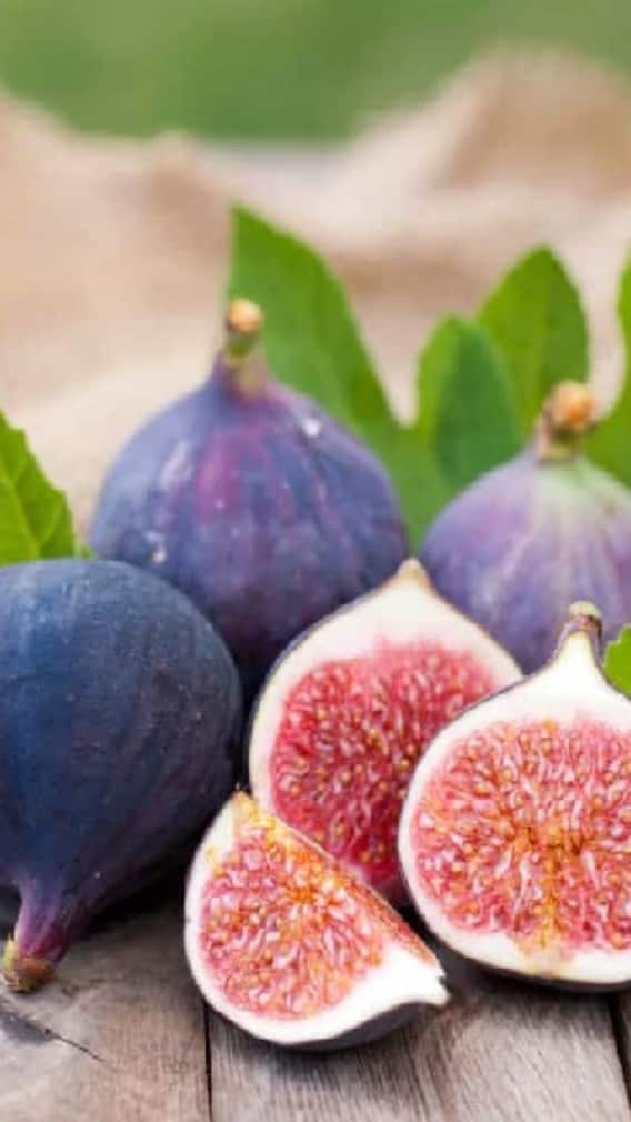 अंजीर की खेती पर बिहार के किसानों को मिलेगी बंपर सब्सिडी, कैसे उठाएं लाभ