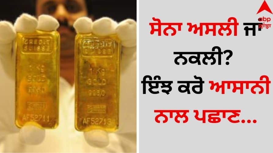 How to Identify Fake or real Gold Jewellery details inside Real or Fake Gold: ਸੋਨਾ ਅਸਲੀ ਜਾਂ ਨਕਲੀ? ਇੰਝ ਕਰੋ ਆਸਾਨੀ ਨਾਲ ਪਛਾਣ