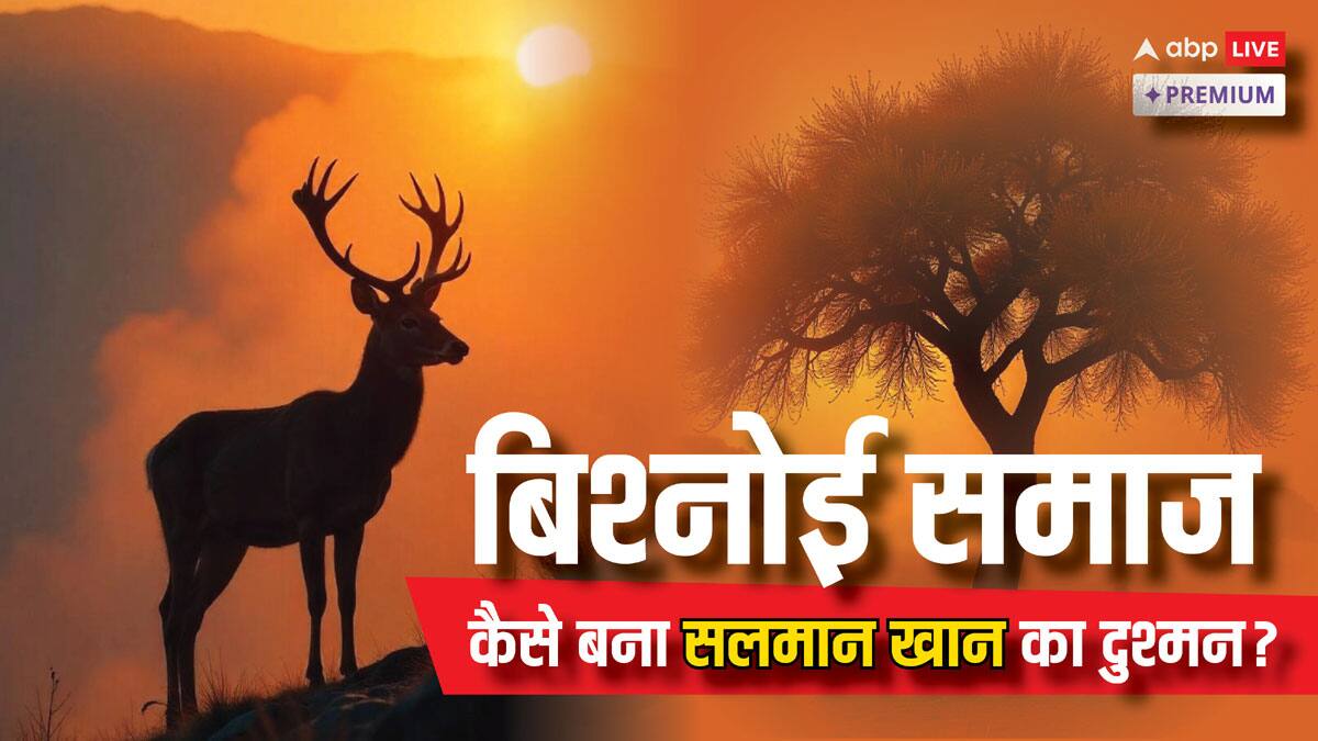 काला हिरण, खेजड़ी और ब्लैक इंडियन बस्टर्ड; बिश्नोई समाज में क्यों है ये सब 'जान से प्यारे'