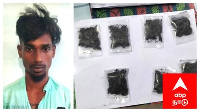 Mayiladuthurai district near Sirkazhi for sale of ganja in a field one person arrested - TNN சீர்காழி அருகே வயல்வெளியில் வைத்து கஞ்சா விற்பனை - இளைஞர் கைது!