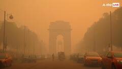 दिल्ली-एनसीआर के पॉल्यूशन में पराली जलने का कितना रोल? जरूर जान लीजिए इसका जवाब