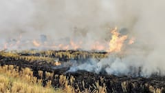 पराली जलाई तो दो सीजन तक MSP पर फसल नहीं बेच पाएंगे​ किसान, इस राज्य की सरकार ने बनाया खास प्लान