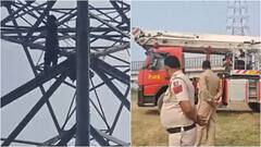 दिल्ली के गीता कॉलोनी में युवक का हाई वोल्टेज ड्रामा, जानलेवा इलेक्ट्रिक पोल पर चढ़ा