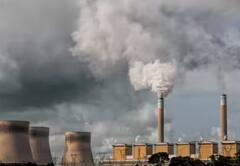 હવા પ્રદૂષણના કારણે શરદી-ખાંસીથી પરેશાન છો? રાહત મેળવવા અપનાવો આ ઘરેલું ઉપાય