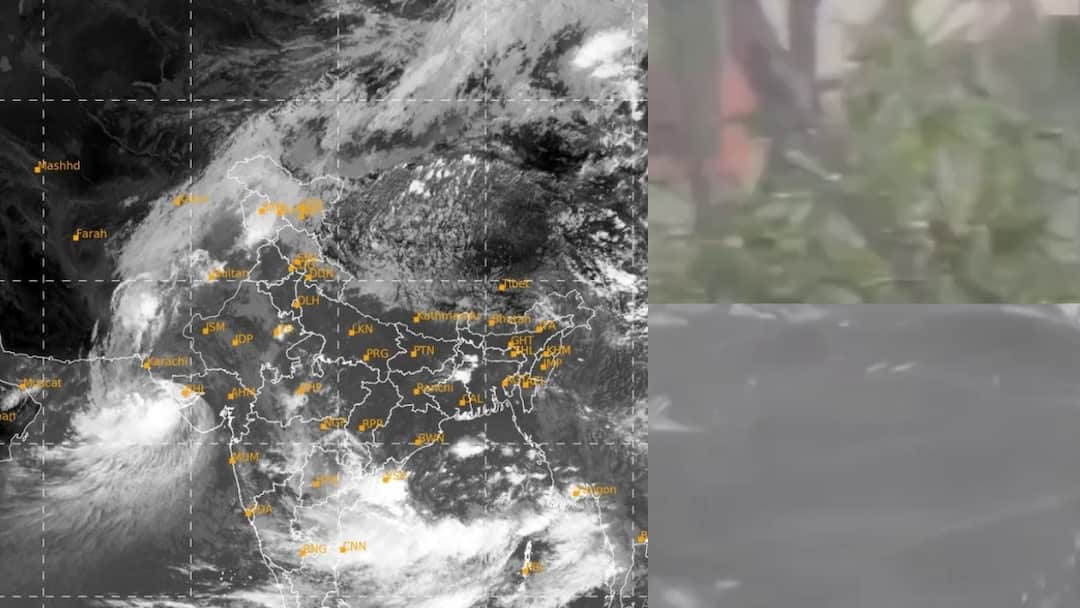 dana cyclone towards reached odisha coast Dana Cyclone: ఒడిశా తీరం దిశగా 'దానా' తుపాను - వాతావరణ శాఖ బిగ్ అలర్ట్