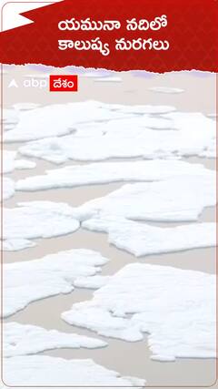 యమునా నదిలో కాలుష్య నురగలు