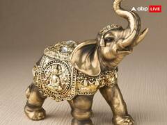 Diwali 2024 Upay: आर्थिक तंगी से हैं परेशान तो दिवाली की रात जरुर करें यह उपाय