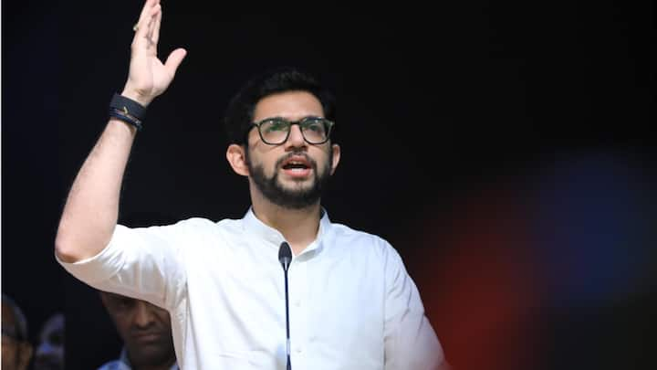 Shiv Sena (UBT) leader and former Maharashtra minister Aaditya Thackeray has been fielded from central Mumbai's Worli assembly constituency. (Source: X/@AUThackeray)