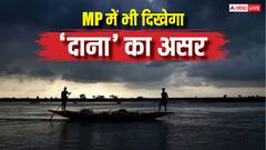 एमपी में भी चक्रवाती तूफान 'दाना' मचाएगा तबाही!  इन जिलों में आंधी-बारिश का अलर्ट
