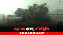 Cyclone Dana: ক্রমশ এগিয়ে আসছে ঘূর্ণিঝড় দানা, কী অবস্থা উপকূলবর্তী এলাকাগুলির?