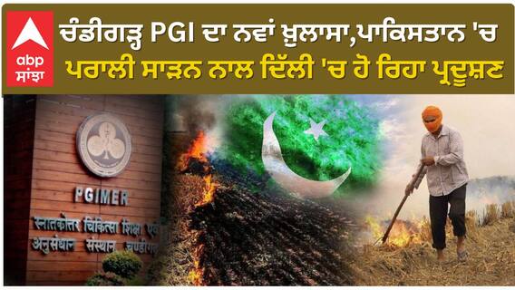 STUBBLE BURNING | Pakistan ਦੇ Punjab ਸੂਬੇ 'ਚ ਪਰਾਲੀ ਸਾੜਨ ਦਾ ਭਾਰਤ 'ਤੇ ਅਸਰ ਪੈ ਰਿਹਾ ! |abp Sanjha