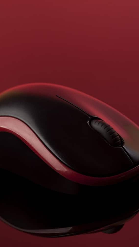 Computer के Mouse का नाम चूहे पर ही क्यों रखा गया! जानें सच्चाई