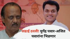 मोठी बातमी : बारामतीची लढाई ठरली, युगेंद्र पवार अजित पवारांना भिडणार