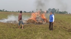 MP: दुखी किसान ने कटी सोयाबीन की फसल में लगाई आग, दिग्विजय सिंह ने शिवराज सिंह चौहान को घेरा