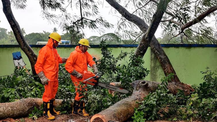 Odisha Claims 'Zero Casualty' in Cyclone Dana, Evacuation Underway