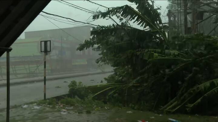 প্রবল ঝড়ের সঙ্গে চলছে তুমুল বৃষ্টি। ভাঙল গাছ, উড়ল টিনের চাল।