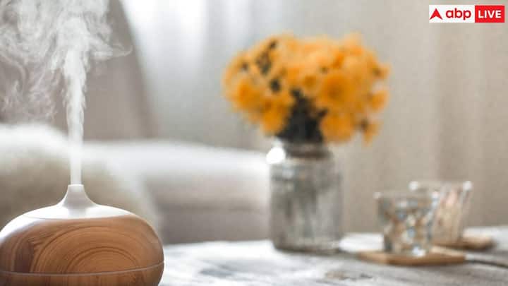 घर साफ करने के लिए वैक्यूम क्लीनर का भी इस्तेमाल कर सकते हैं. इससे फर्श, खिड़की पर जमी गंदगी, मलबे और पालतू जानवरों के बाल तक साफ हो जाते हैं.