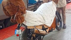 Bike Transport: ভিন রাজ্যে ট্রেনে বাইক পাঠাতে চান ? কত টাকা লাগবে, জেনে নিন প্রতিটি নিয়ম