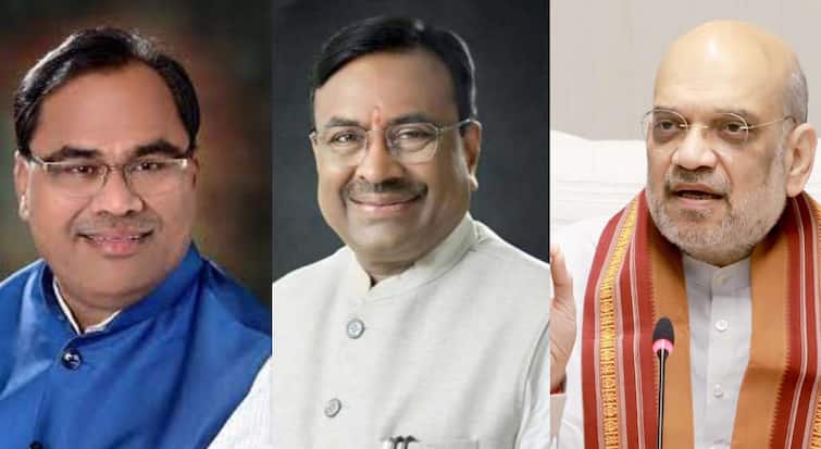 मोठी बातमी: बड्या नेत्याचा पक्षप्रवेश थांबवण्यासाठी सुधीर मुनगंटीवारांनी दिल्ली गाठली