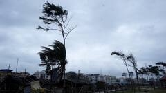 Uprooted Trees, Damaged Infrastructure: Cyclone Dana Leaves Trail Of Destruction In Odisha, Bengal